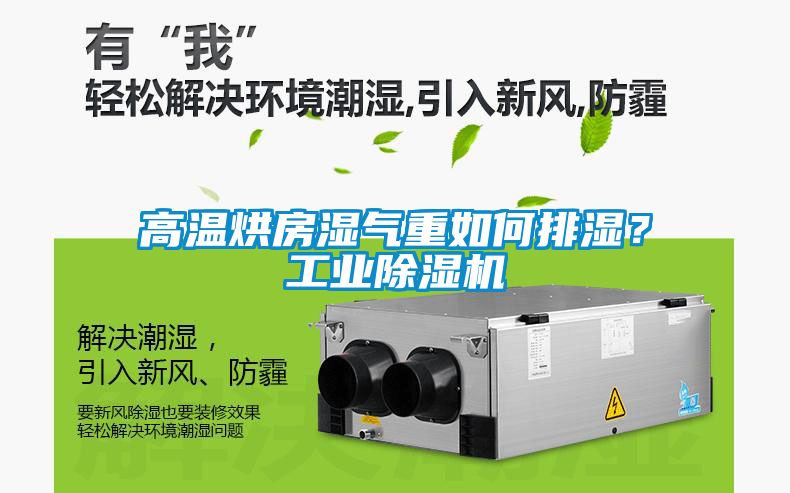 高温烘房湿气重如何排湿？工业黄瓜视频下载污机