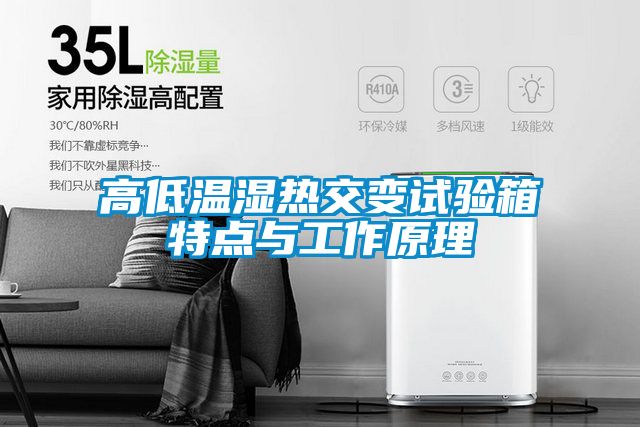 高低温湿热交变试验箱特点与工作原理