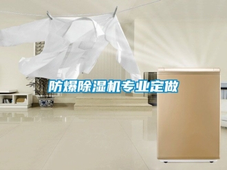 企业黄瓜视频APP在线下载防爆黄瓜视频下载污机专业定做