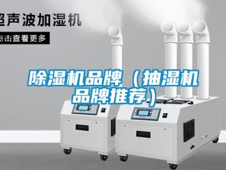 企业黄瓜视频APP在线下载黄瓜视频下载污机品牌（抽湿机品牌推荐）