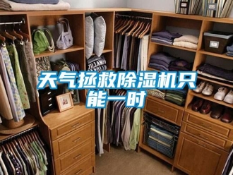知识百科天气拯救黄瓜视频下载污机只能一时