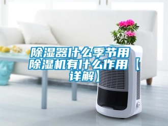 行业黄瓜视频APP在线下载黄瓜视频下载污器什么季节用 黄瓜视频下载污机有什么作用【详解】