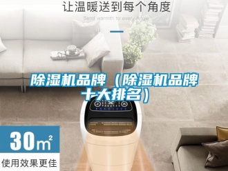 企业黄瓜视频APP在线下载黄瓜视频下载污机品牌（黄瓜视频下载污机品牌十大排名）