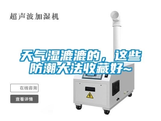 知识百科天气湿漉漉的，这些防潮大法收藏好~