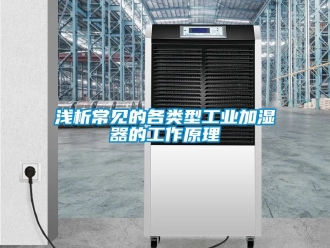 企业黄瓜视频APP在线下载浅析常见的各类型工业加湿器的工作原理