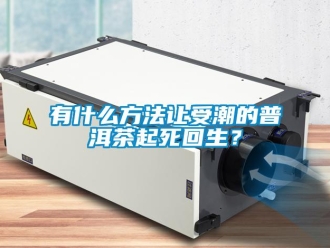 知识百科有什么方法让受潮的普洱茶起死回生？