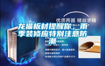 龙猫板材提醒你，雨季装修应特别注意防潮