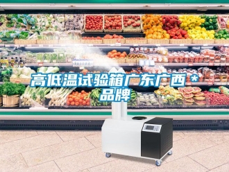 常见问题高低温试验箱广东广西＊品牌