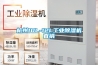 杭州10L-12L工业黄瓜视频下载污机直销