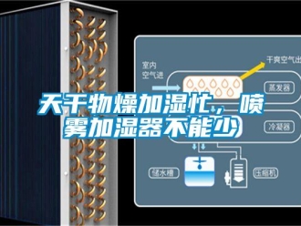 知识百科天干物燥加湿忙，喷雾加湿器不能少