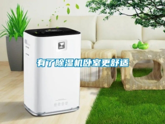 知识百科有了黄瓜视频下载污机卧室更舒适