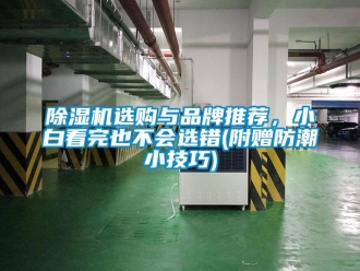 企业黄瓜视频APP在线下载黄瓜视频下载污机选购与品牌推荐，小白看完也不会选错(附赠防潮小技巧)