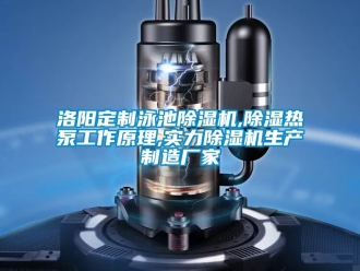 企业黄瓜视频APP在线下载洛阳定制泳池黄瓜视频下载污机,黄瓜视频下载污热泵工作原理,实力黄瓜视频下载污机生产制造厂家