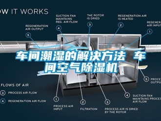 企业黄瓜视频APP在线下载车间潮湿的解决方法 车间空气黄瓜视频下载污机