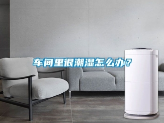 企业黄瓜视频APP在线下载车间里很潮湿怎么办？