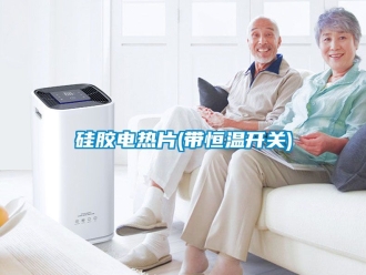 知识百科硅胶电热片(带恒温开关)