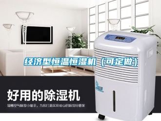 知识百科经济型恒温恒湿机（可定做）