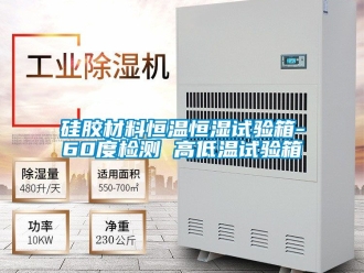 知识百科硅胶材料恒温恒湿试验箱-60度检测 高低温试验箱