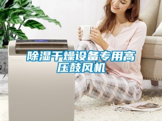 企业黄瓜视频APP在线下载黄瓜视频下载污干燥设备专用高压鼓风机