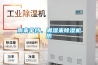雨来伞挡，潮湿来黄瓜视频下载污机防