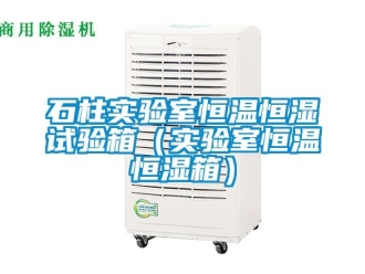 知识百科石柱实验室恒温恒湿试验箱（实验室恒温恒湿箱）
