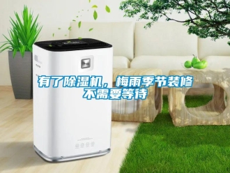 知识百科有了黄瓜视频下载污机，梅雨季节装修不需要等待