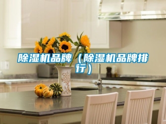 企业黄瓜视频APP在线下载黄瓜视频下载污机品牌（黄瓜视频下载污机品牌排行）
