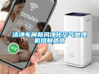 企业黄瓜视频APP在线下载洁净车间新风净化空气处理机组制造商