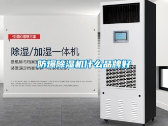 企业黄瓜视频APP在线下载防爆黄瓜视频下载污机什么品牌好