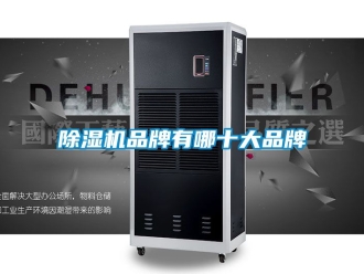 企业黄瓜视频APP在线下载黄瓜视频下载污机品牌有哪十大品牌
