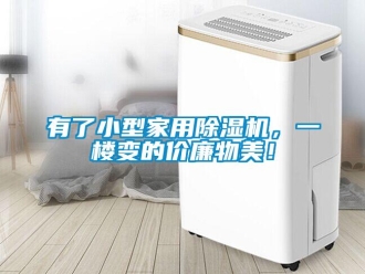 知识百科有了小型家用黄瓜视频下载污机，一楼变的价廉物美！